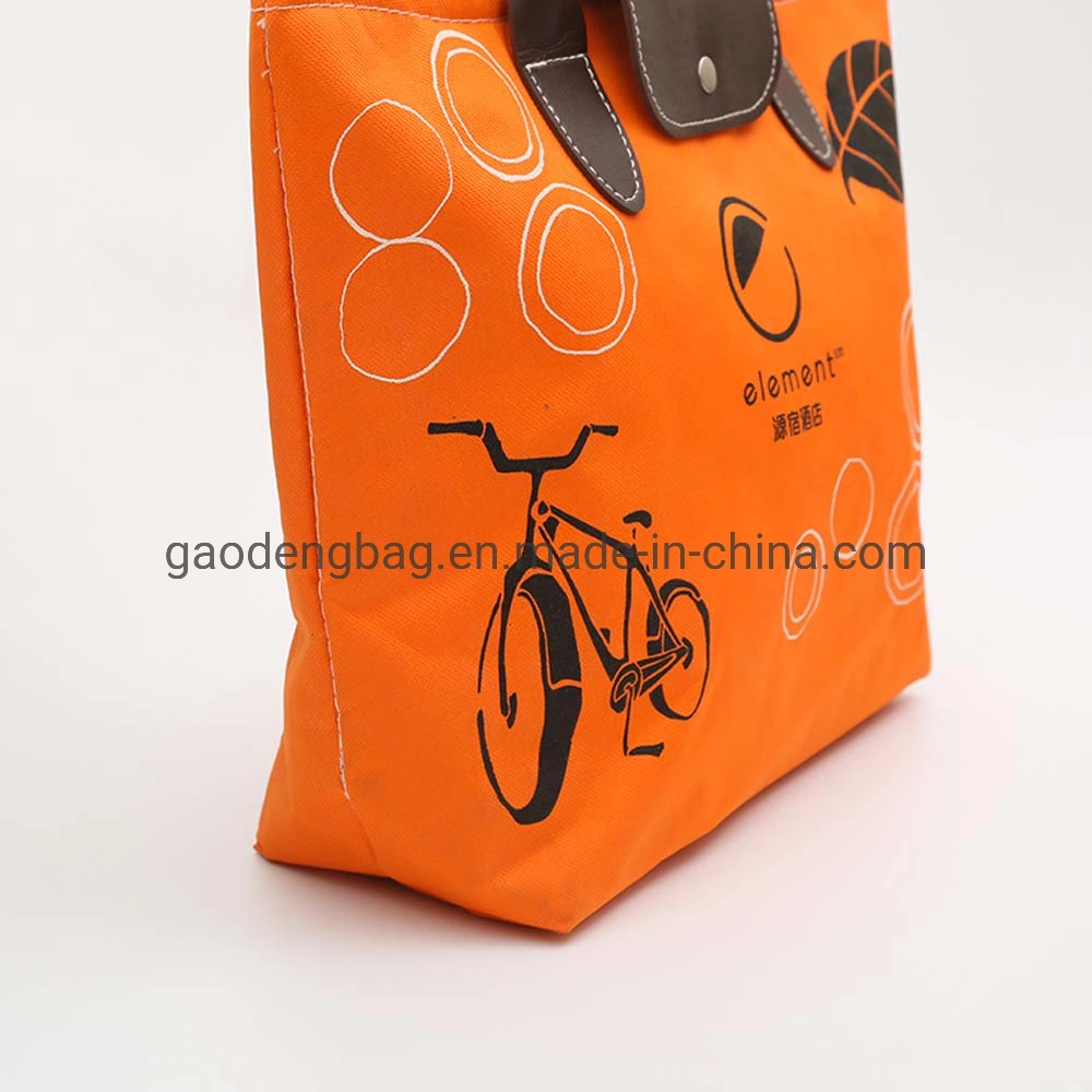 Promotional Gift Outdoor Food Picnic Insulated School Cooler Bag