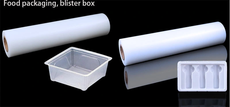 Leak Proof Polypropylene PP Pet Takeaway Plastic Disposable Food Container Packaging