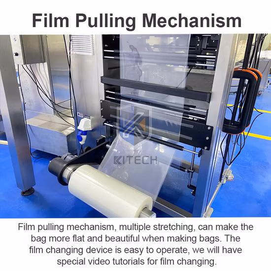 Automatic Solid Food Packaging Machine/Pet Food/Rock Candy/Candy/Rice